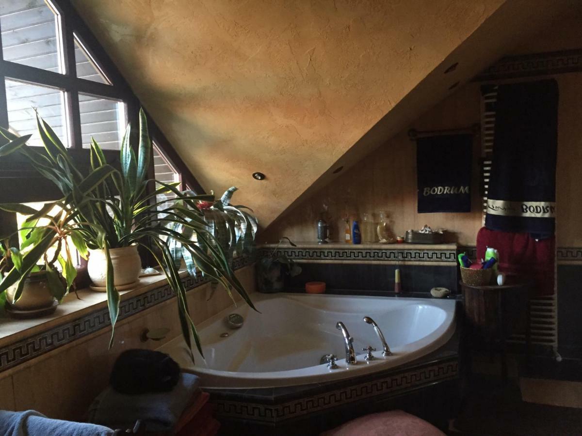 Willa Luxury House *